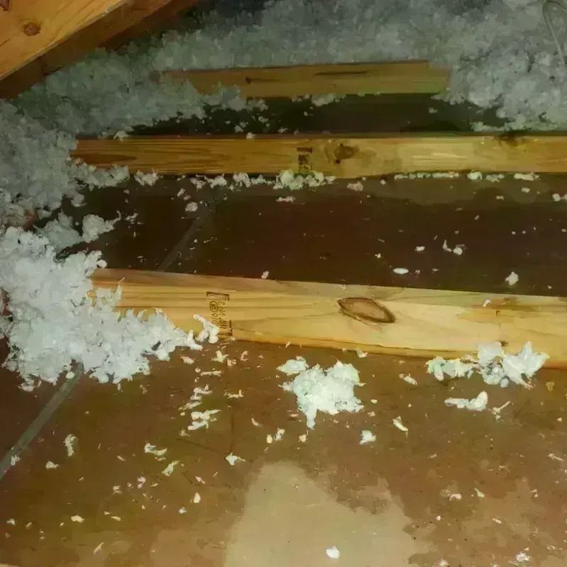 Attic Water Damage in Dakota Dunes, SD