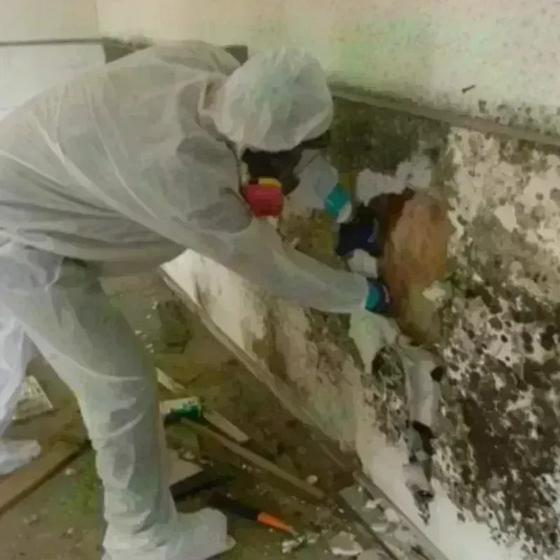 Mold Remediation and Removal in Dakota Dunes, SD