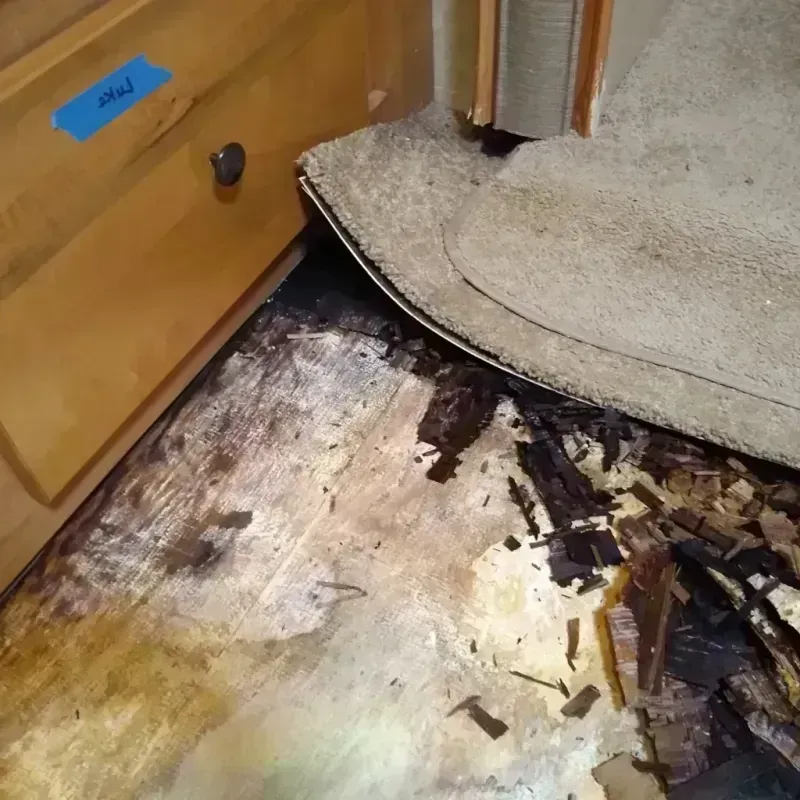 Wood Floor Water Damage in Dakota Dunes, SD